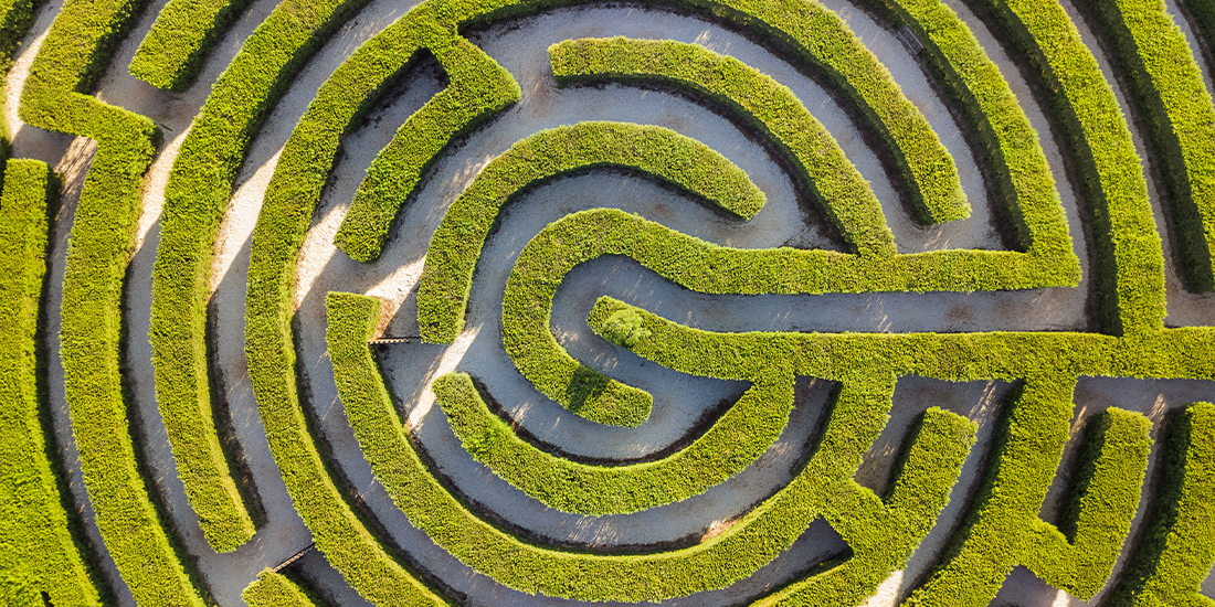 Aerial view of a topiary maze.